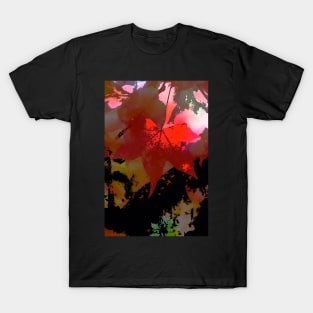 Abstract 283 T-Shirt